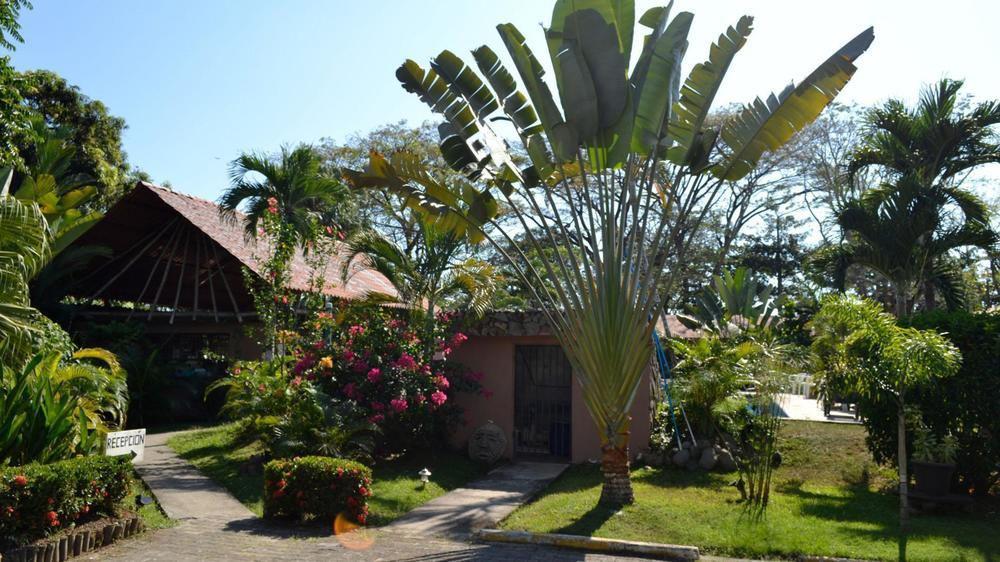 Villa Creole Jacó Exteriör bild